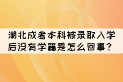湖北成考本科被錄取入學(xué)后沒(méi)有學(xué)籍是怎么回事？