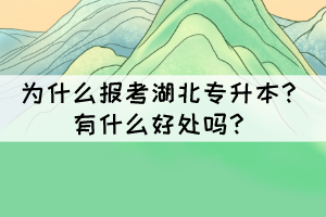 為什么報考湖北專升本？有什么好處嗎？