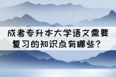 成考專升本大學(xué)語文需要復(fù)習(xí)的知識(shí)點(diǎn)有哪些？