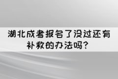 湖北成考報名了沒過還有補救的辦法嗎？