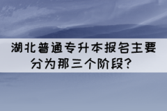 2022年湖北普通專升本報名主要分為那三個階段？