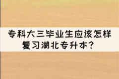 ?？拼笕厴I(yè)生應(yīng)該怎樣復(fù)習(xí)湖北專升本？