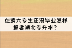 在讀大專生還沒畢業(yè)怎樣報考湖北專升本？