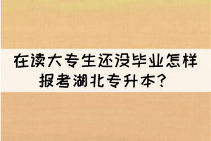 在讀大專(zhuān)生還沒(méi)畢業(yè)怎樣報(bào)考湖北專(zhuān)升本？