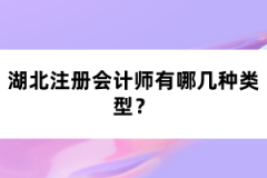 湖北注冊(cè)會(huì)計(jì)師有哪幾種類型？