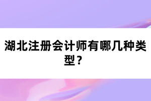 湖北注冊會計師有哪幾種類型？