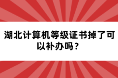 湖北計(jì)算機(jī)等級(jí)證書掉了可以補(bǔ)辦嗎？