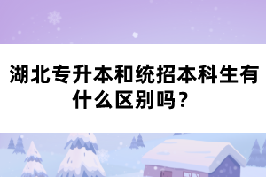 湖北專升本和統(tǒng)招本科生有什么區(qū)別嗎？