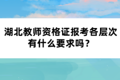 湖北教師資格證報考各層次有什么要求嗎？