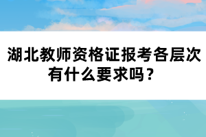 湖北教師資格證報(bào)考各層次有什么要求嗎？