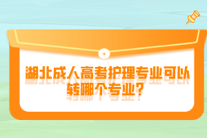 湖北成人高考護理專業(yè)可以轉(zhuǎn)哪個專業(yè)？