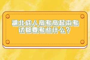 湖北成人高考高起本考試都要考些什么？