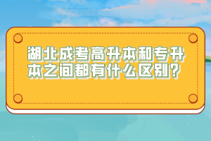 湖北成考高升本和專(zhuān)升本之間都有什么區(qū)別？