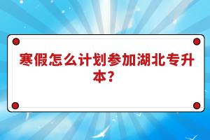 寒假怎么計(jì)劃參加湖北專(zhuān)升本？