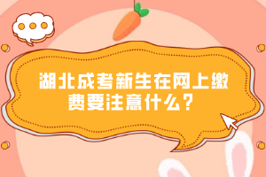 湖北成考新生在網(wǎng)上繳費(fèi)要注意什么？