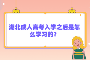 湖北成人高考入學之后是怎么學習的？