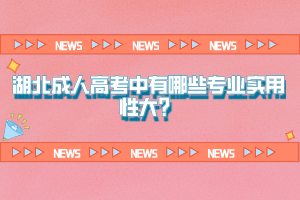 湖北成人高考中有哪些專業(yè)實用性大？