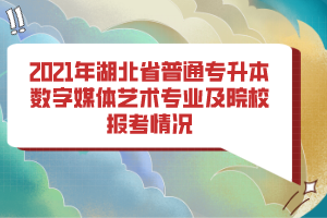 2021年湖北省普通專升本數(shù)字媒體藝術專業(yè)及院校報考情況