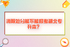 消除處分能不能報考湖北專升本？