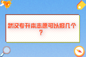 武漢專升本志愿可以報幾個？