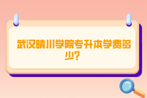 武漢晴川學(xué)院專升本學(xué)費(fèi)多少？