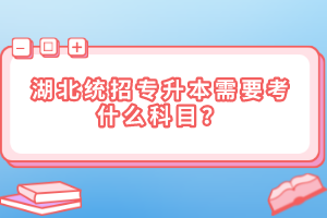 湖北統(tǒng)招專升本需要考什么科目？