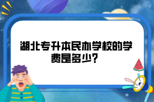 湖北專升本民辦學(xué)校的學(xué)費是多少？