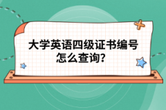 大學(xué)英語四級證書編號怎么查詢？