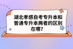 湖北孝感自考專(zhuān)升本和普通專(zhuān)升本兩者的區(qū)別在哪？