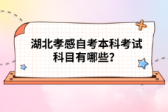 湖北孝感自考本科考試科目有哪些？