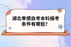 湖北孝感自考本科報(bào)考條件有哪些？