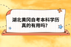 湖北黃岡自考本科學(xué)歷真的有用嗎？