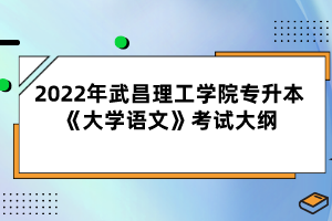 2022年武昌理工學(xué)院專升本《大學(xué)語(yǔ)文》考試大綱