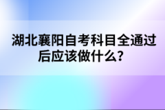 湖北襄陽自考科目全通過后應該做什么？