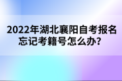 2022年湖北襄陽自考報名忘記考籍號怎么辦？