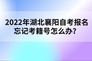 2022年湖北襄陽自考報名忘記考籍號怎么辦？