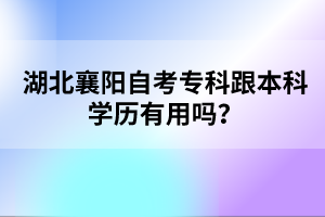 湖北襄陽自考?？聘究茖W(xué)歷有用嗎？