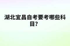 湖北學(xué)位英語考試題型有哪些？