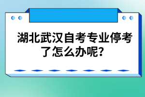 湖北武漢自考專業(yè)?？剂嗽趺崔k呢？