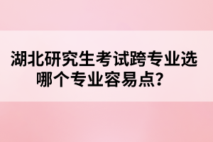 湖北研究生考試跨專業(yè)選哪個(gè)專業(yè)容易點(diǎn)？