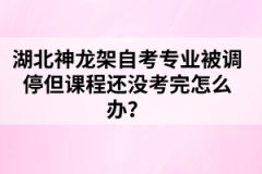 湖北神龍架自考專業(yè)被調(diào)停但課程還沒考完怎么辦？