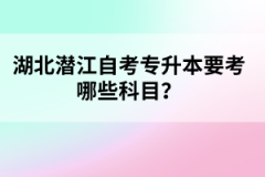 湖北潛江自考專升本要考哪些科目？