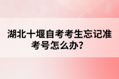 湖北十堰自考考生忘記準考號怎么辦？