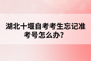 湖北十堰自考考生忘記準考號怎么辦？