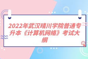 2022年武漢晴川學(xué)院普通專升本《計(jì)算機(jī)網(wǎng)絡(luò)》考試大綱