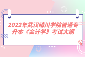 2022年武漢晴川學(xué)院普通專升本《會(huì)計(jì)學(xué)》考試大綱