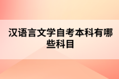 湖北隨州自考漢語言文學(xué)專業(yè)要考哪些科目？