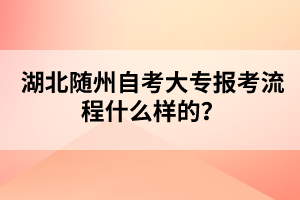 湖北隨州自考大專報考流程什么樣的？