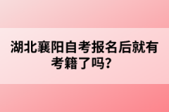 湖北襄陽自考報名后就有考籍了嗎？