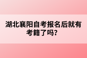 湖北襄陽自考報名后就有考籍了嗎？